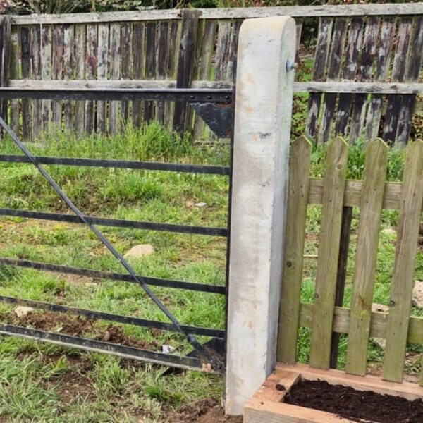 Gate Posts - Image 2